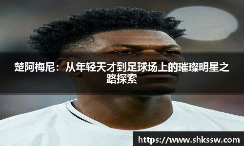 zoty中欧